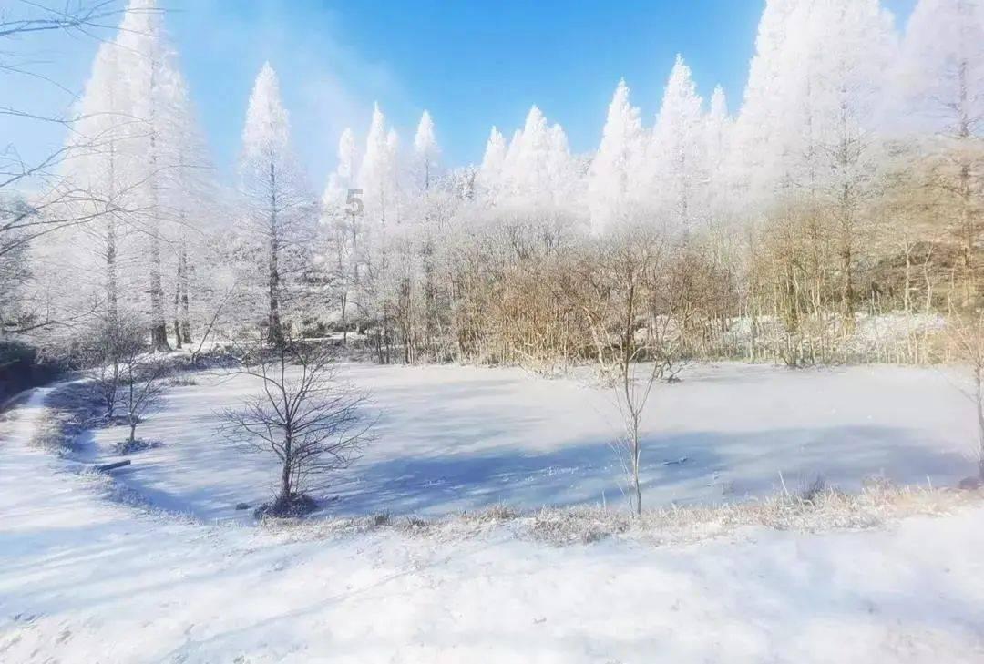 赵丽颖新剧改名《风吹半夏》，该剧讲述了一个怎样的故事？游戏画面